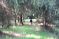 SDC10430
