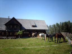 zelt mit pferde