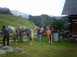 zelt mit pferde